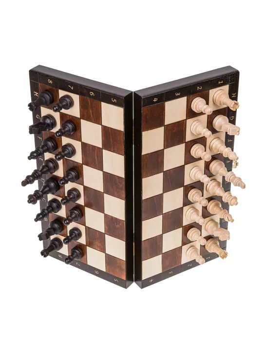 Chess Magnetic