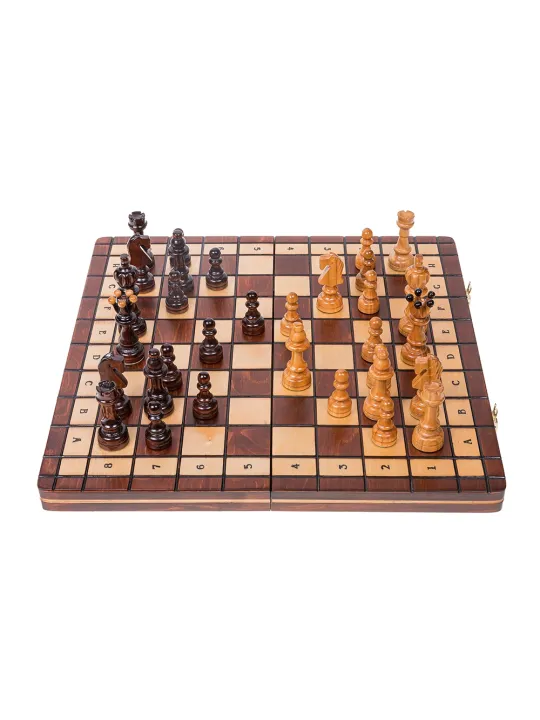 Schach Abgeordneter