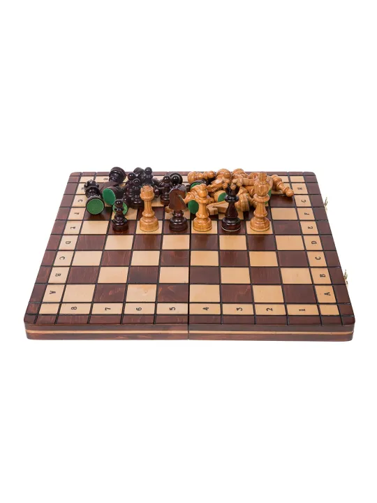 Schach Abgeordneter